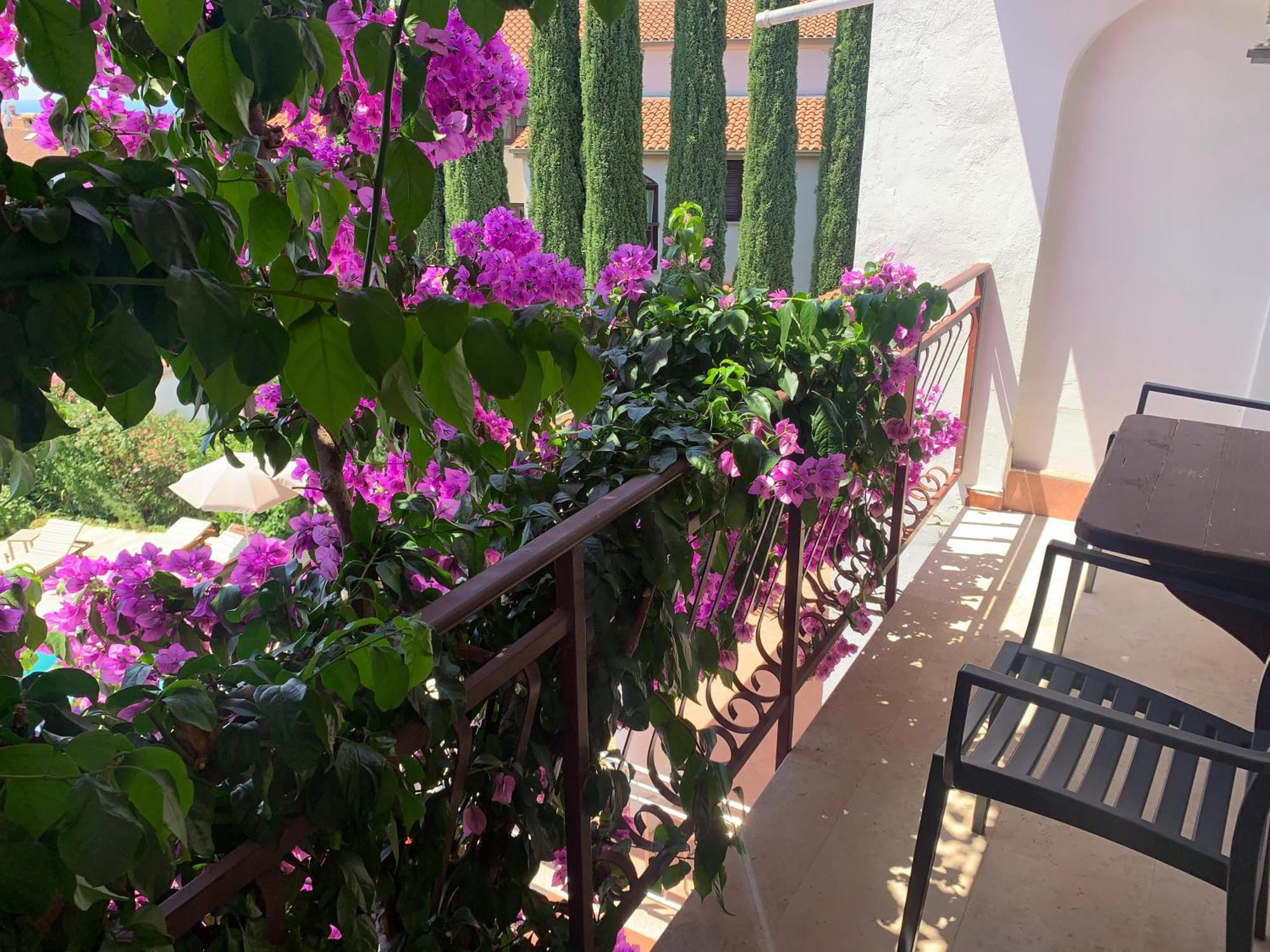 Gargamelo Pension Poreč Dış mekan fotoğraf