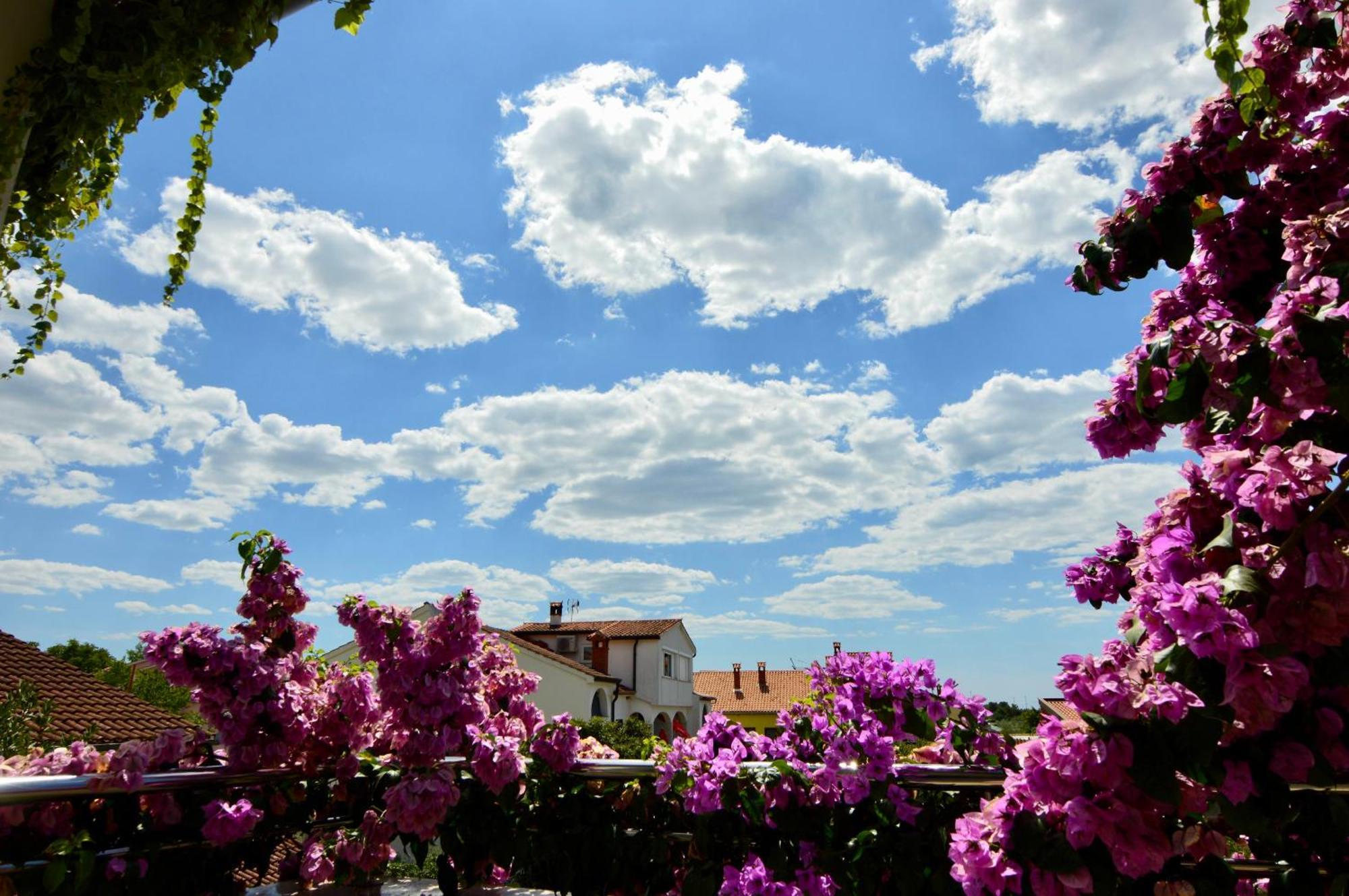 Gargamelo Pension Poreč Dış mekan fotoğraf